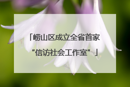 崂山区成立全省首家“信访社会工作室”