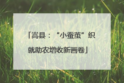 嵩县：“小蚕茧”织就助农增收新画卷