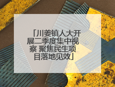 川姜镇人大开展二季度集中视察 聚焦民生项目落地见效