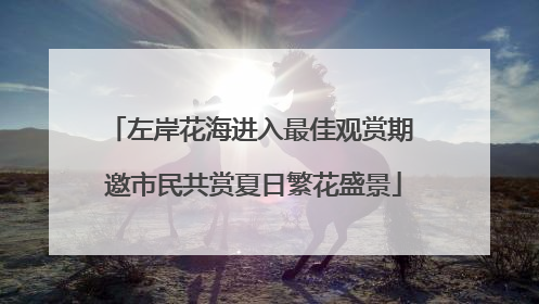 左岸花海进入最佳观赏期 邀市民共赏夏日繁花盛景