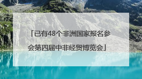 已有48个非洲国家报名参会第四届中非经贸博览会