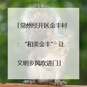 常州经开区金丰村：“和美金丰” 让文明乡风吹进门