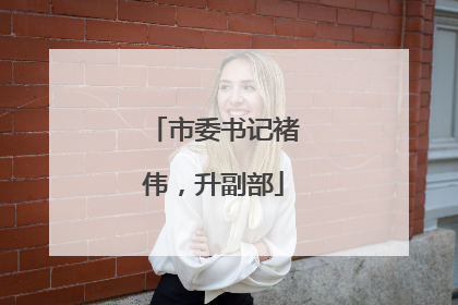 市委书记褚伟，升副部