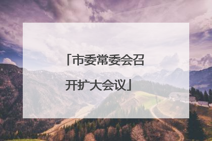 市委常委会召开扩大会议