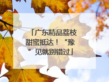 广东精品荔枝甜蜜抵达！“豫”见就别错过