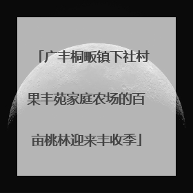 广丰桐畈镇下社村果丰苑家庭农场的百亩桃林迎来丰收季