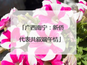 广西南宁：新侨代表共叙端午情
