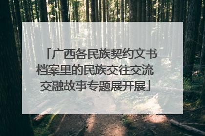 广西各民族契约文书档案里的民族交往交流交融故事专题展开展