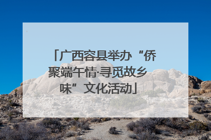 广西容县举办“侨聚端午情·寻觅故乡味”文化活动