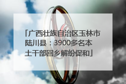 广西壮族自治区玉林市陆川县：3900多名本土干部回乡解纷促和