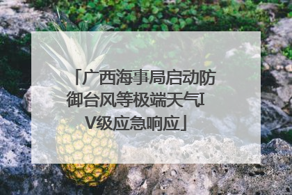 广西海事局启动防御台风等极端天气IV级应急响应