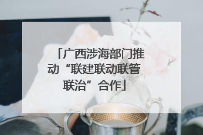 广西涉海部门推动“联建联动联管联治”合作