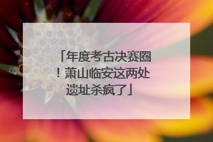 年度考古决赛圈！萧山临安这两处遗址杀疯了