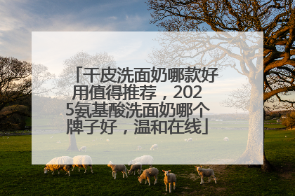 干皮洗面奶哪款好用值得推荐，2025氨基酸洗面奶哪个牌子好，温和在线