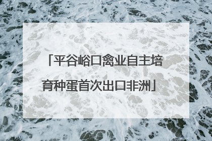 平谷峪口禽业自主培育种蛋首次出口非洲