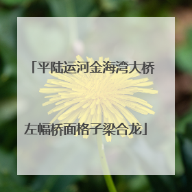 平陆运河金海湾大桥左幅桥面格子梁合龙