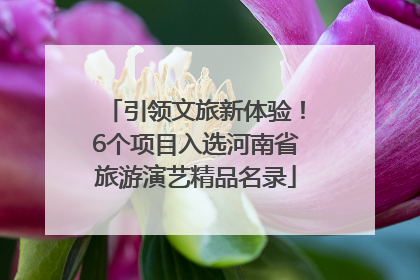 引领文旅新体验！6个项目入选河南省旅游演艺精品名录
