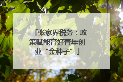 张家界税务：政策赋能育好青年创业“金种子”