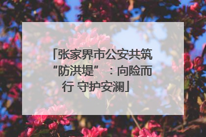 张家界市公安共筑“防洪堤”：向险而行 守护安澜