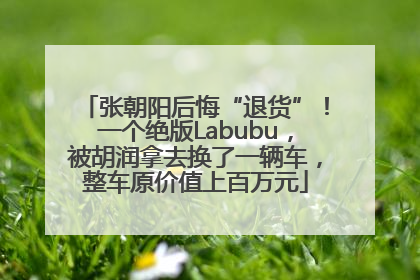 张朝阳后悔“退货”！一个绝版Labubu，被胡润拿去换了一辆车，整车原价值上百万元