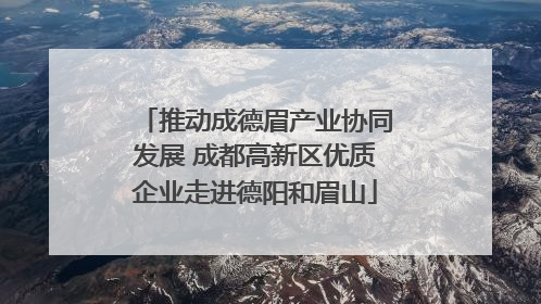 推动成德眉产业协同发展 成都高新区优质企业走进德阳和眉山