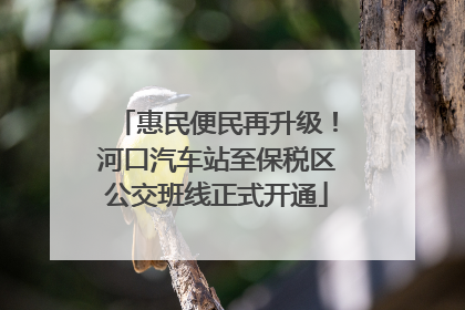 惠民便民再升级！河口汽车站至保税区公交班线正式开通