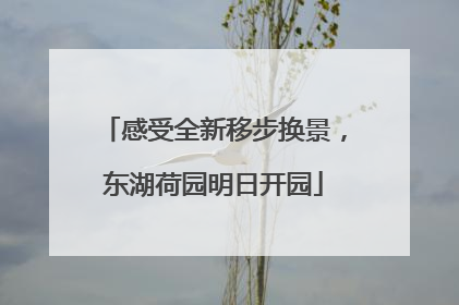 感受全新移步换景，东湖荷园明日开园