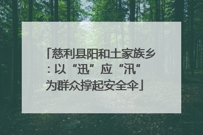 慈利县阳和土家族乡：以“迅”应“汛” 为群众撑起安全伞