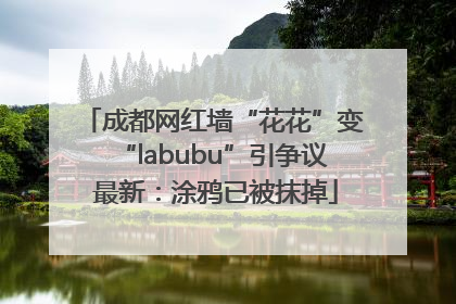 成都网红墙“花花”变“labubu”引争议 最新：涂鸦已被抹掉
