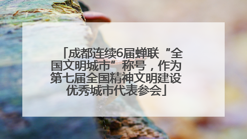 成都连续6届蝉联“全国文明城市”称号，作为第七届全国精神文明建设优秀城市代表参会