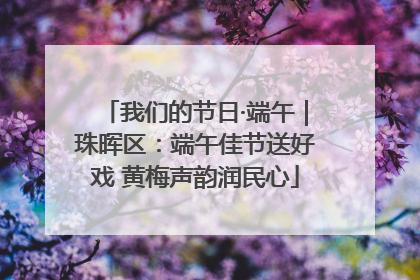 我们的节日·端午｜珠晖区：端午佳节送好戏 黄梅声韵润民心