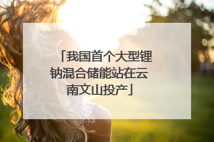 我国首个大型锂钠混合储能站在云南文山投产