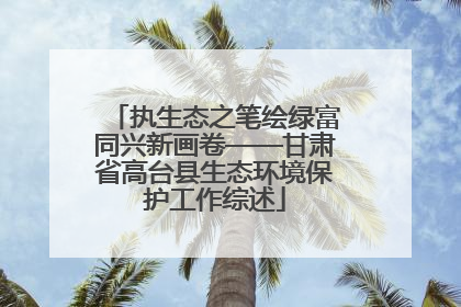 执生态之笔绘绿富同兴新画卷——甘肃省高台县生态环境保护工作综述