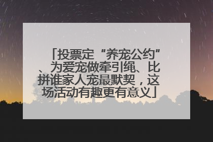 投票定“养宠公约”、为爱宠做牵引绳、比拼谁家人宠最默契，这场活动有趣更有意义