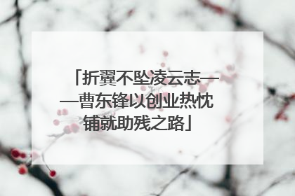 折翼不坠凌云志——曹东锋以创业热忱铺就助残之路