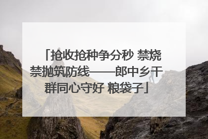 抢收抢种争分秒 禁烧禁抛筑防线——郎中乡干群同心守好 粮袋子