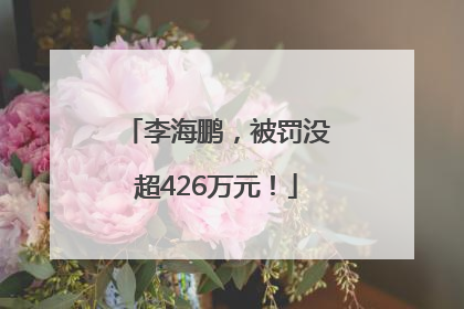 李海鹏，被罚没超426万元！