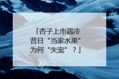 杏子上市遇冷 昔日“当家水果”为何“失宠”？