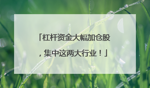 杠杆资金大幅加仓股，集中这两大行业！