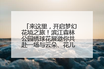 来这里，开启梦幻花境之旅！滨江森林公园绣球花展邀你共赴一场与云朵、花儿的浪漫之约