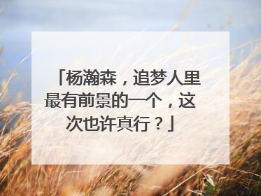 杨瀚森，追梦人里最有前景的一个，这次也许真行？