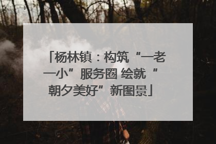 杨林镇：构筑“一老一小”服务圈 绘就“朝夕美好”新图景