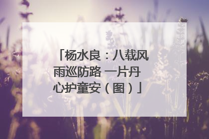 杨水良：八载风雨巡防路 一片丹心护童安（图）