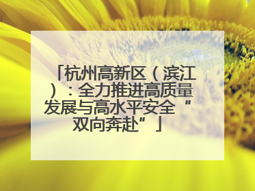 杭州高新区（滨江）：全力推进高质量发展与高水平安全“双向奔赴”