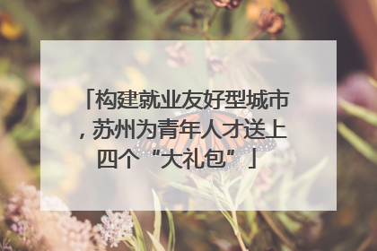 构建就业友好型城市，苏州为青年人才送上四个“大礼包”