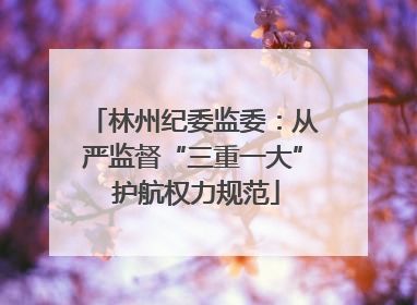 林州纪委监委：从严监督“三重一大” 护航权力规范
