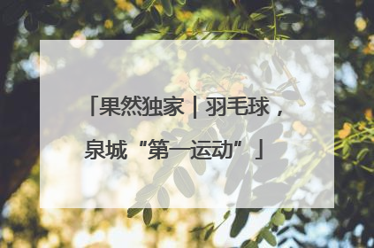 果然独家｜羽毛球，泉城“第一运动”