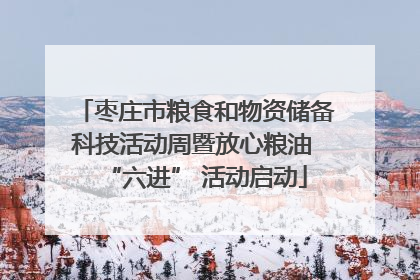 枣庄市粮食和物资储备科技活动周暨放心粮油 “六进” 活动启动