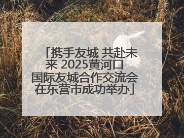 携手友城 共赴未来 2025黄河口国际友城合作交流会在东营市成功举办