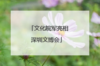 文化皖军亮相深圳文博会